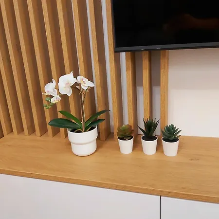 Apartamento Leonardo Lux 77,vila Leonardo 7 *