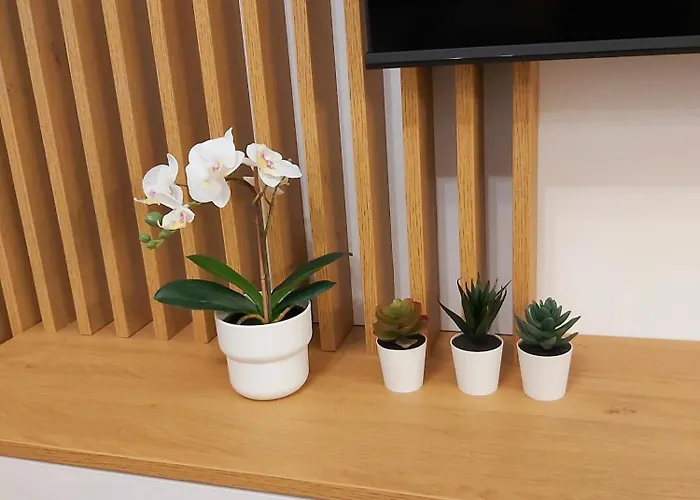 公寓 Leonardo Lux 77,vila Leonardo 7 *