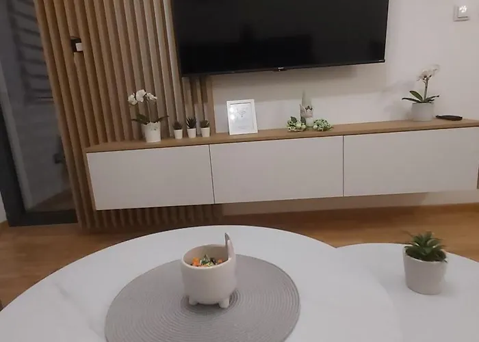 Leonardo Lux 77,vila Leonardo 7 公寓 兹拉蒂博尔